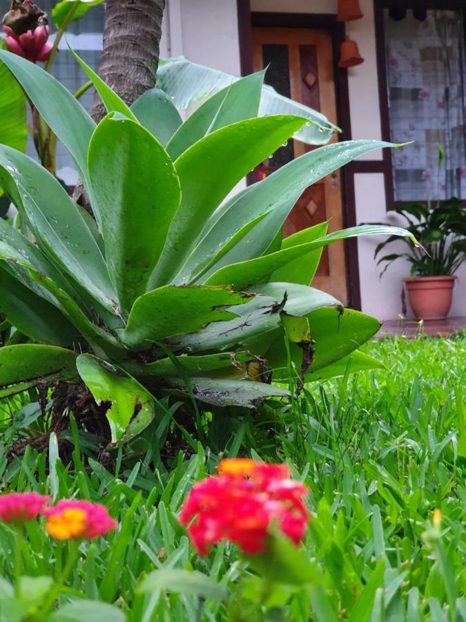 Turrialba Bed & Breakfast Exteriér fotografie