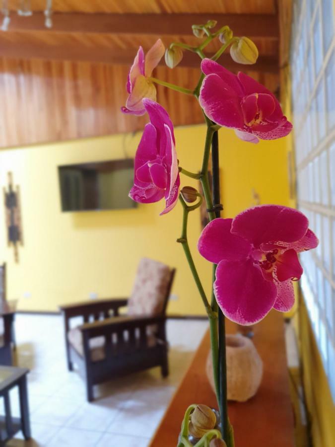 Turrialba Bed & Breakfast Exteriér fotografie