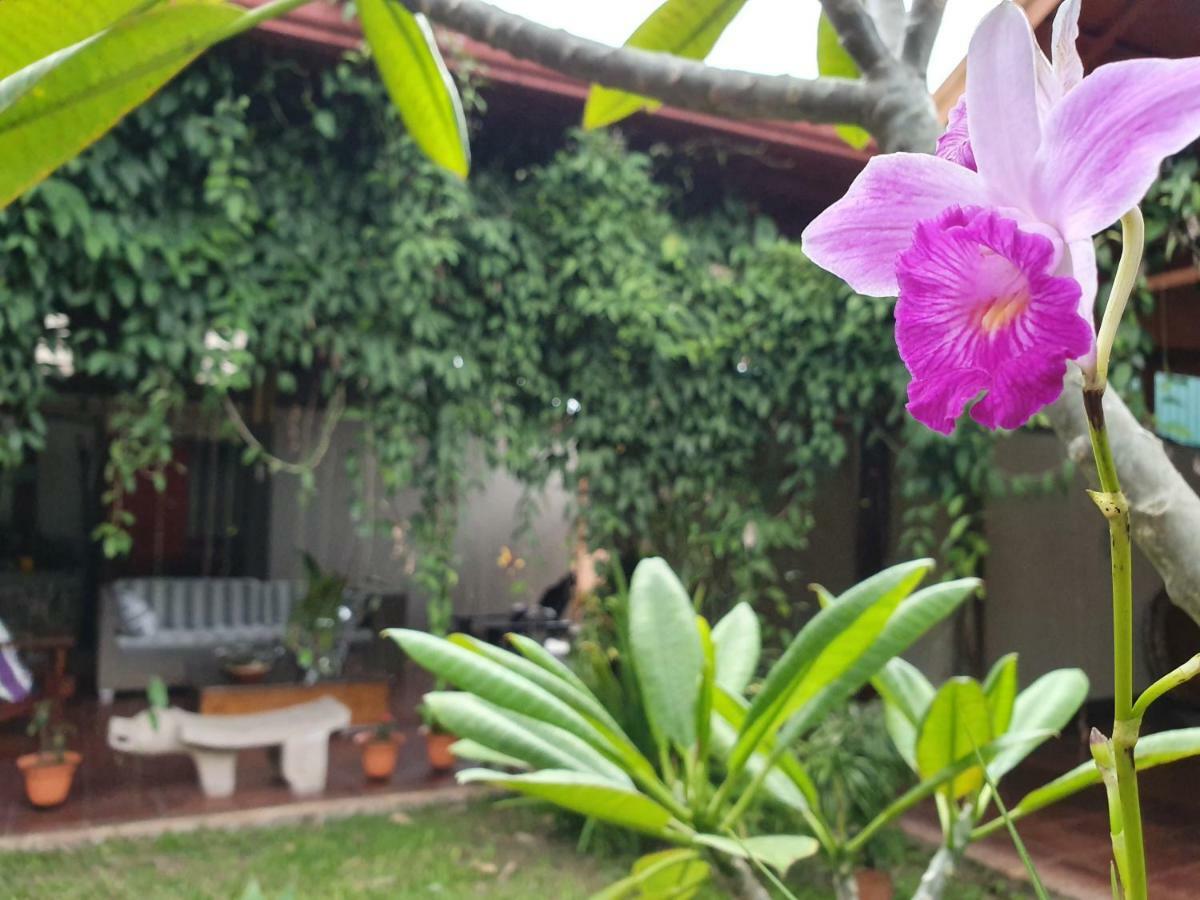 Turrialba Bed & Breakfast Exteriér fotografie