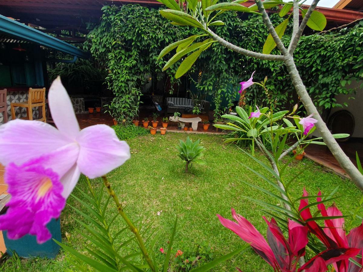 Turrialba Bed & Breakfast Exteriér fotografie
